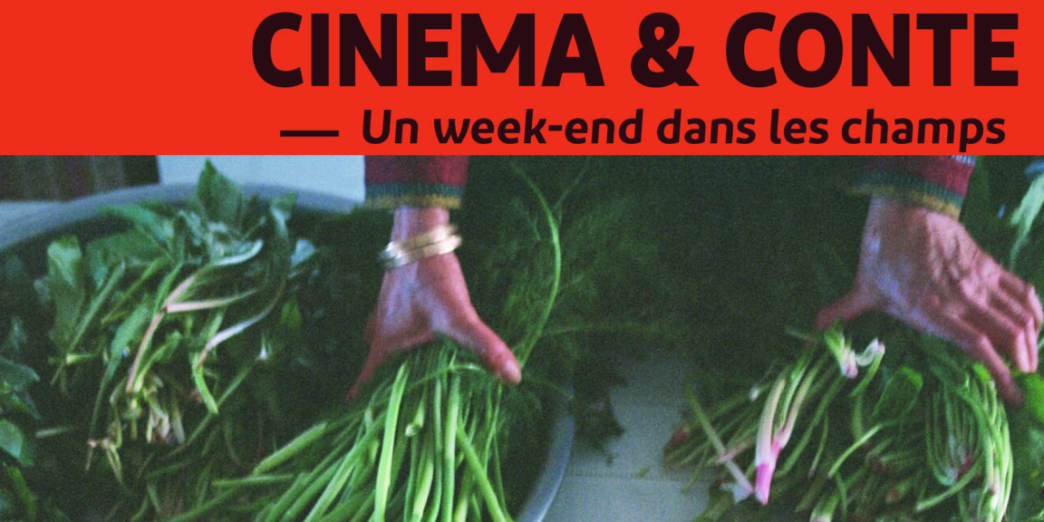 Aflam – Diffusion des Cinémas Arabes