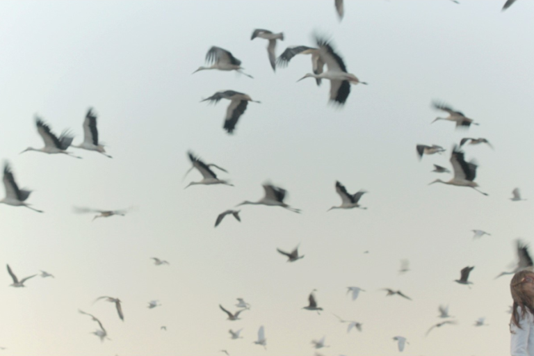 Indivision film 2 – Edition 2024