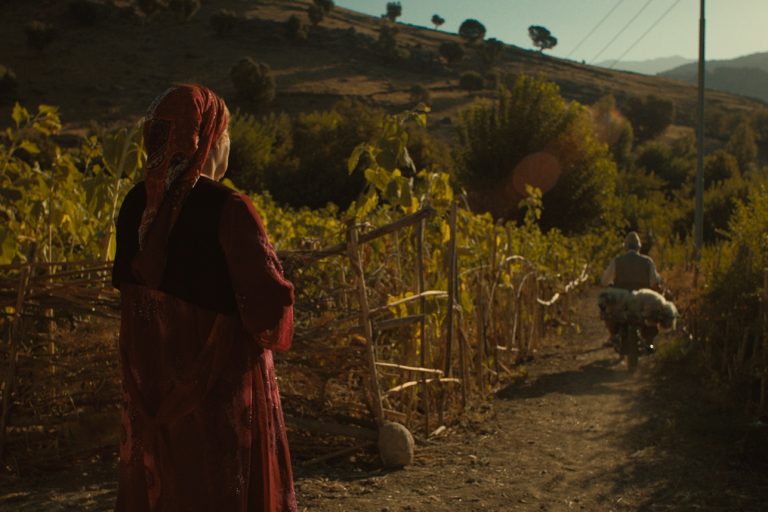 Transient Happiness 1 low