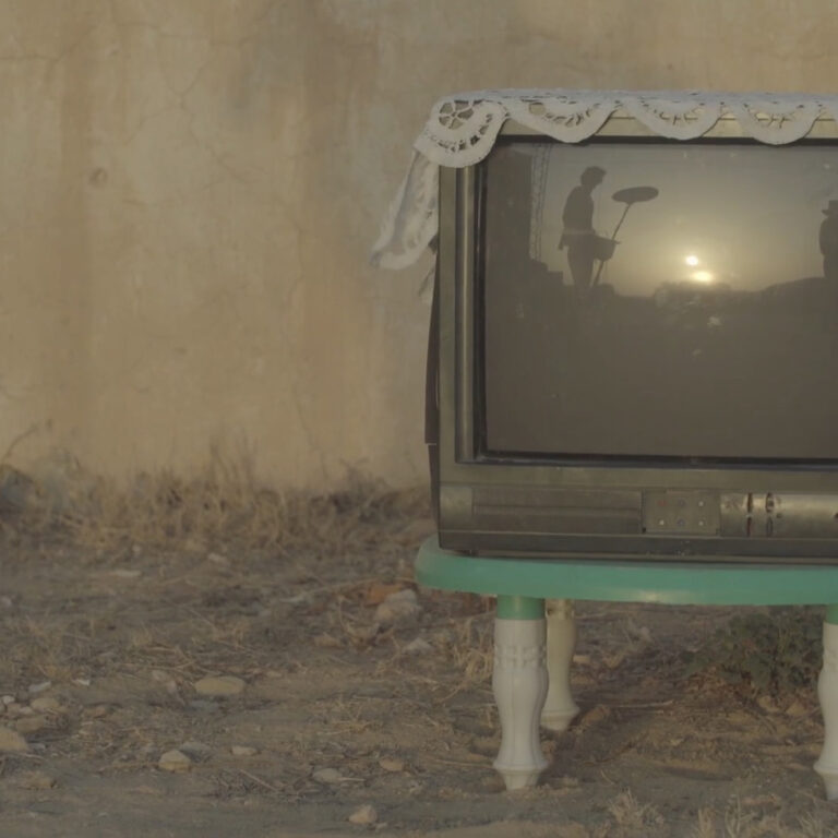 la guepe et l'orchidee saber zammouri