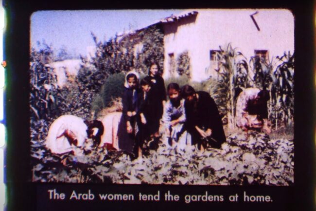 chantal partamian katsakh