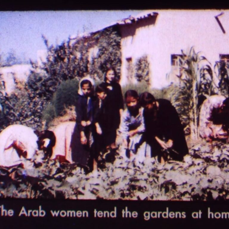 chantal partamian katsakh