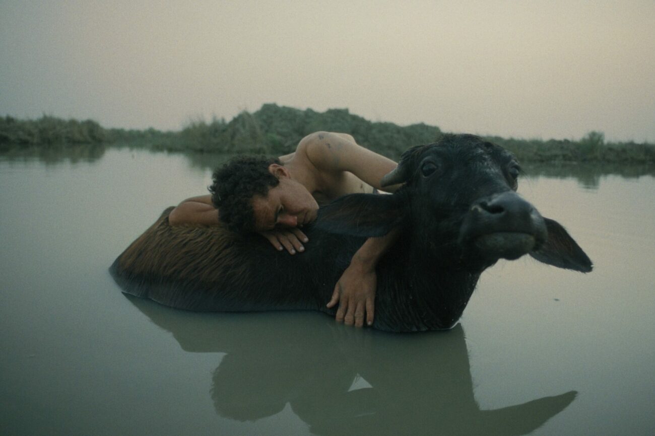 Beneath Which Rivers Flow, Ali Yahya, 2025
