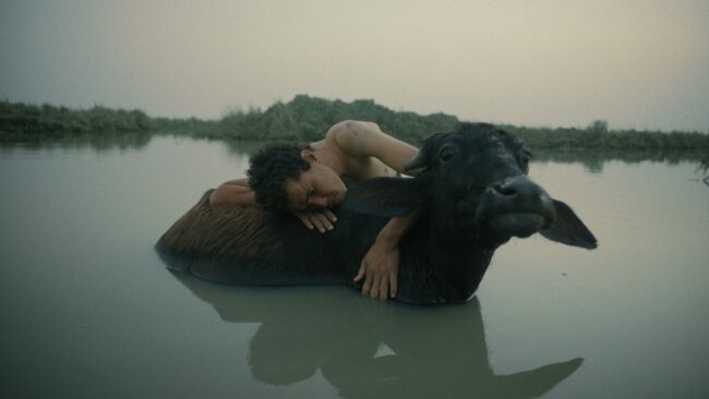 Beneath Which Rivers Flow, Ali Yahya, 2025