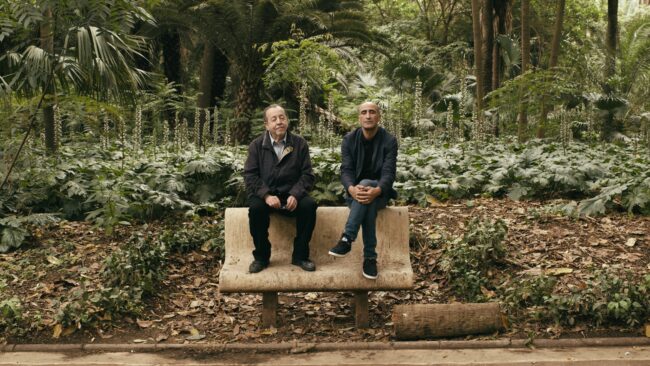 Alea Jacarandas, Hassen Ferhani, 2026