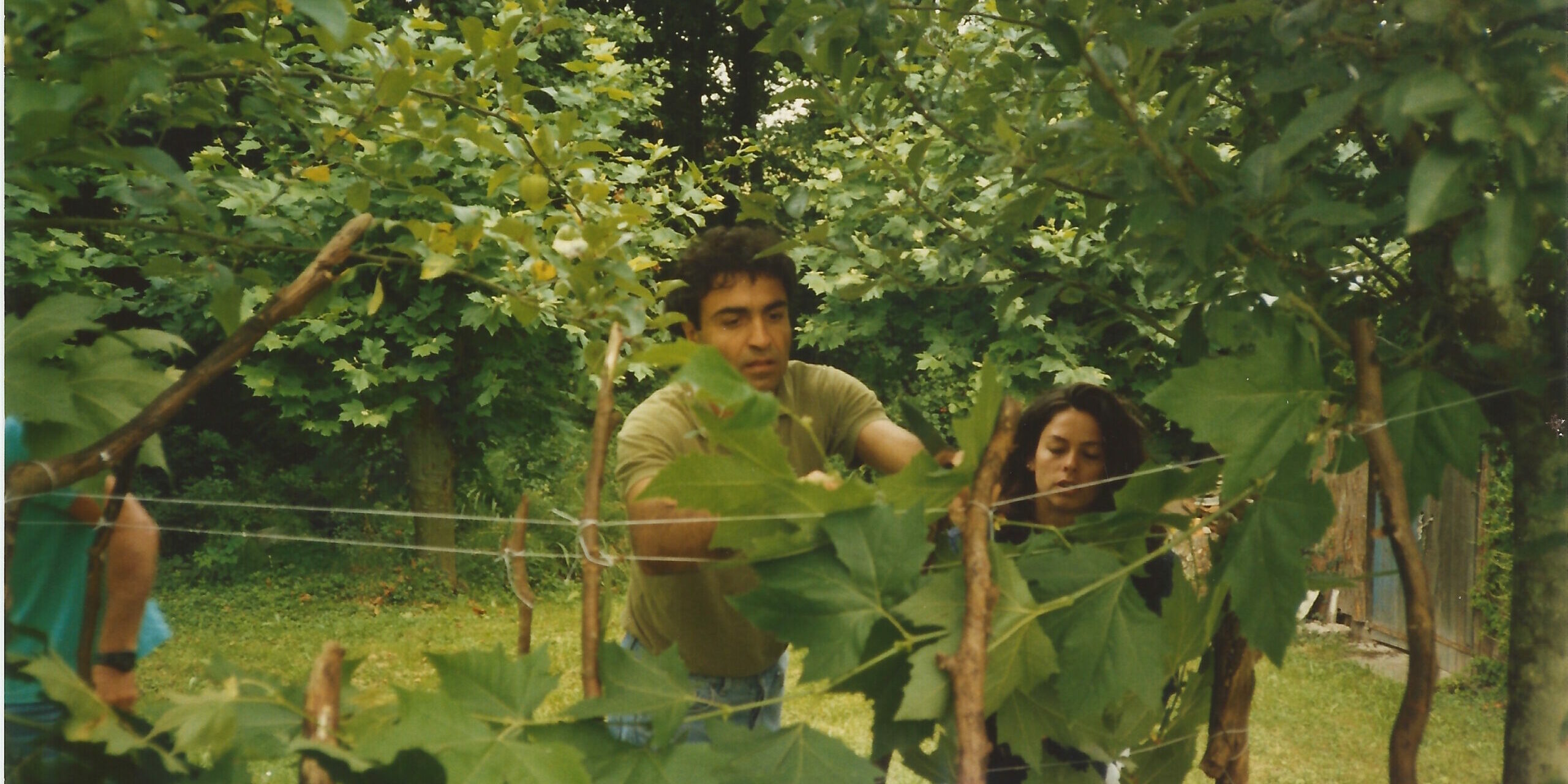 Souraya Mon Amour – Nicolas Khoury, 2026